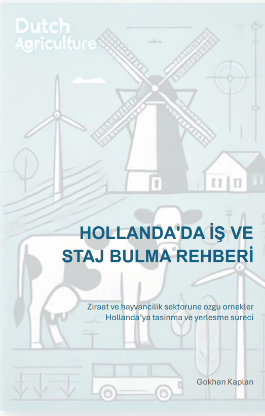 Hollanda'da Is ve Staj Bulma Rehberi